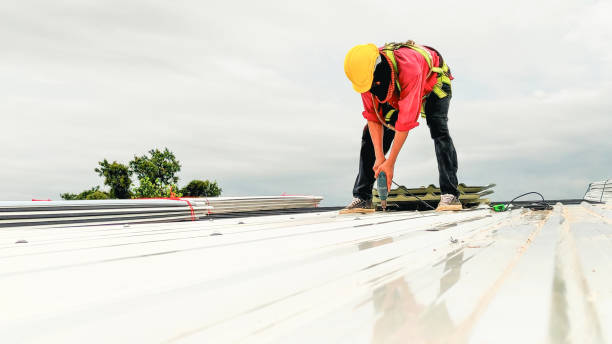 Best Storm Damage Roof Repair  in Mill Bay, AK